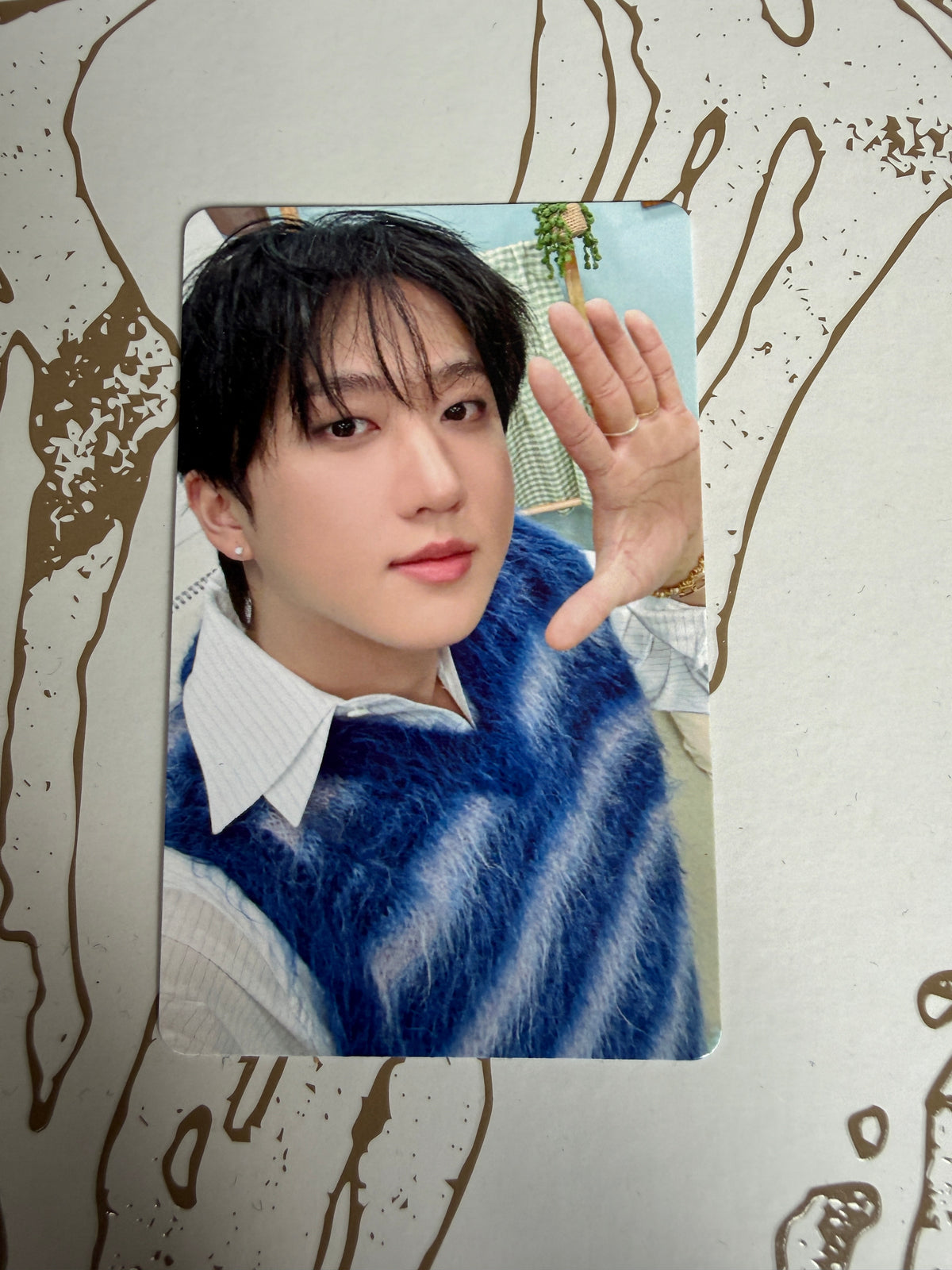 Stray Kids Official FANS Shop POB Photocard – STAY in Our Little House | Choose Member